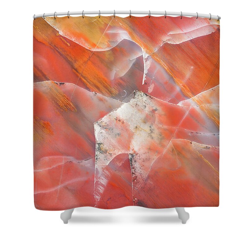 Abstract Shower Curtain featuring the photograph Arizona Petrified Wood #3 by Mark Windom