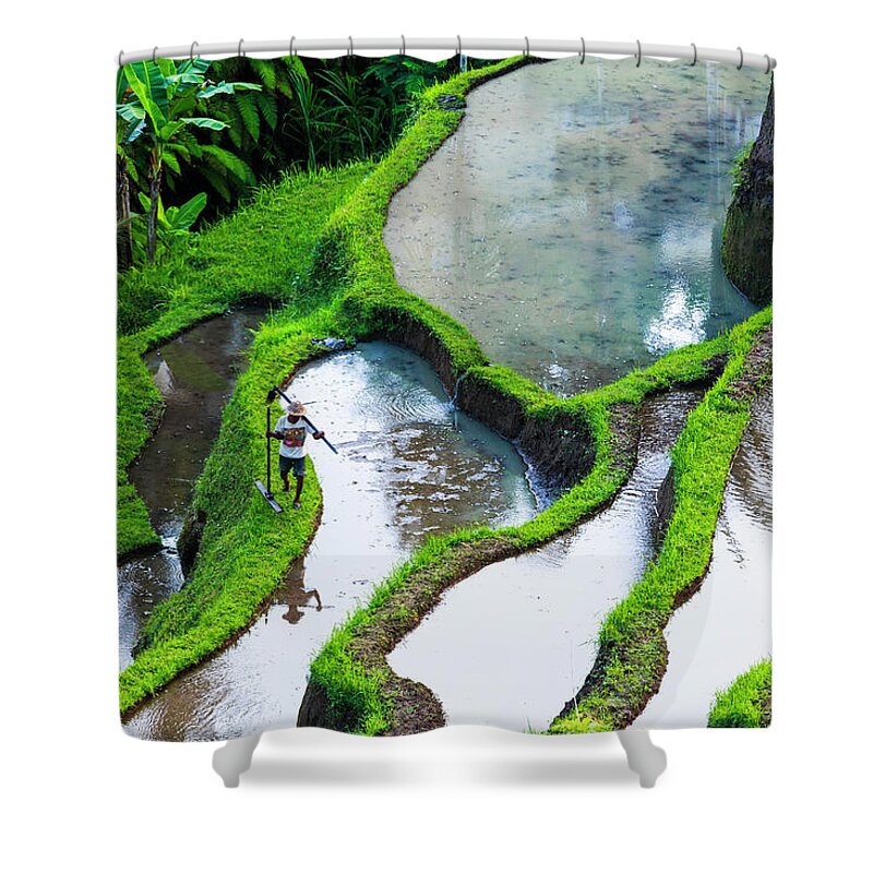 Tranquility Shower Curtain featuring the photograph Rice Terraces In Central Bali Indonesia #3 by Gavriel Jecan