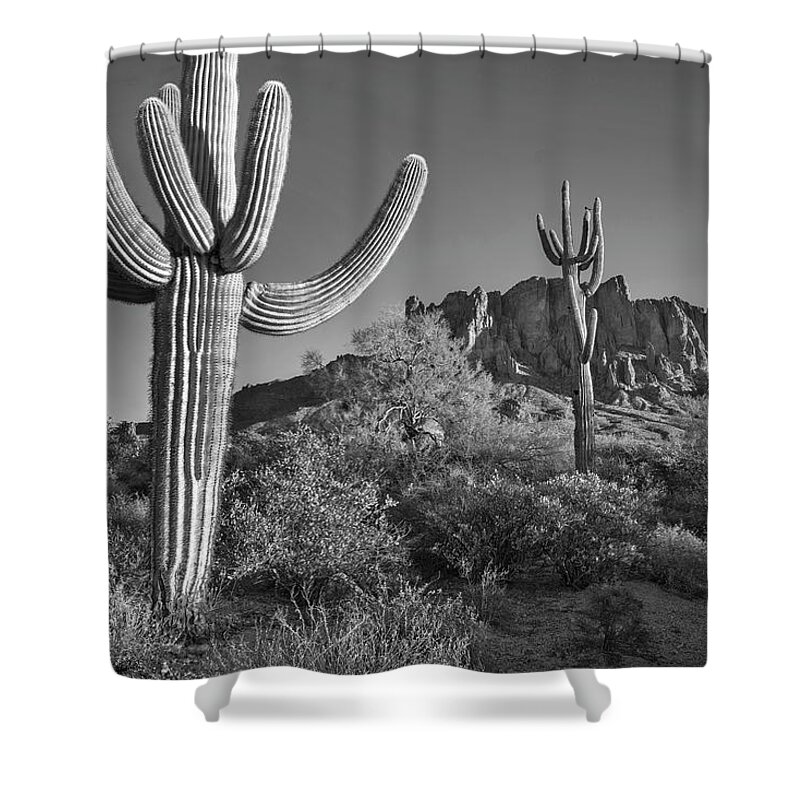 Disk1216 Shower Curtain featuring the photograph Saguaro Cacti, Arizona #3 by Tim Fitzharris