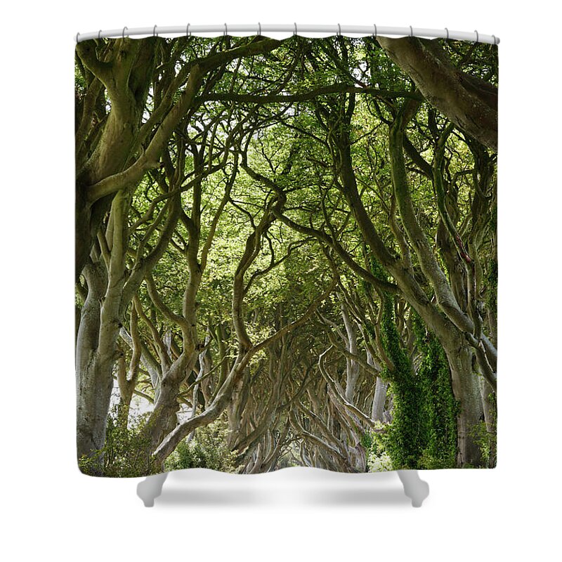 Tranquility Shower Curtain featuring the photograph United Kingdom, Northern Ireland #3 by Westend61