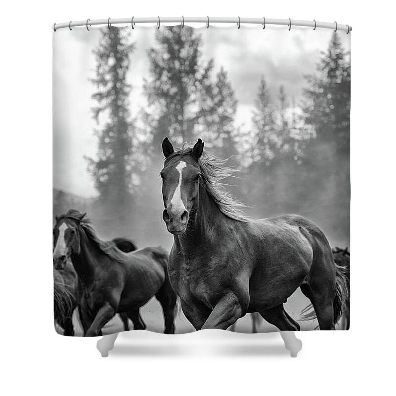 Horses Shower Curtain featuring the photograph Untitled #3 by Ryan Courson