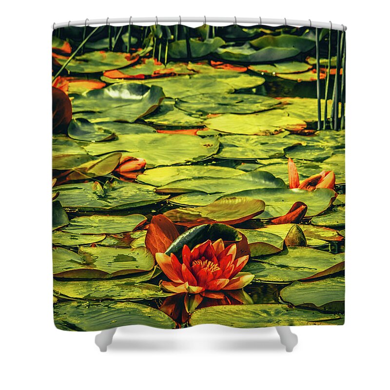 Waterlilies Shower Curtain featuring the photograph Water Lilies #3 by Bonnie Bruno