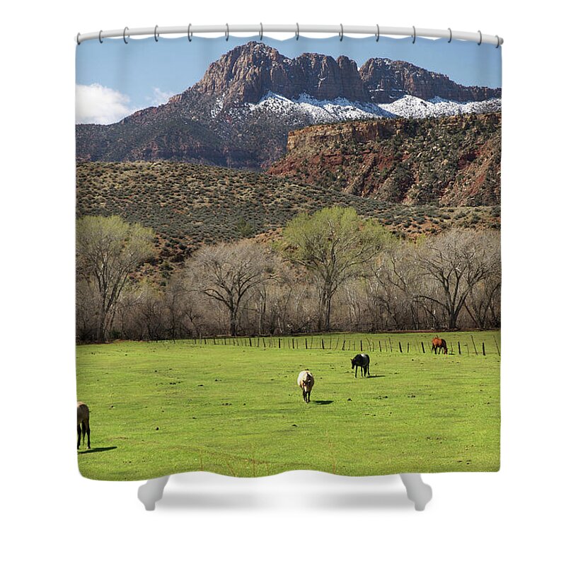 Horse Shower Curtain featuring the photograph Zion Canyon Natural Beauty #3 by Mitch Diamond