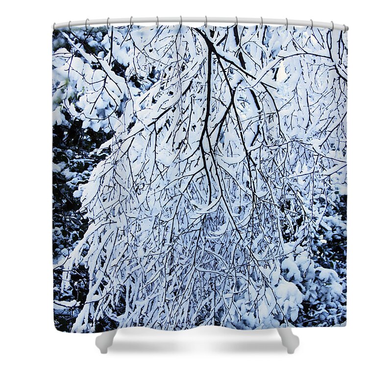 Rivington Shower Curtain featuring the photograph 30/01/19 RIVINGTON. Snow Covered Branches. by Lachlan Main