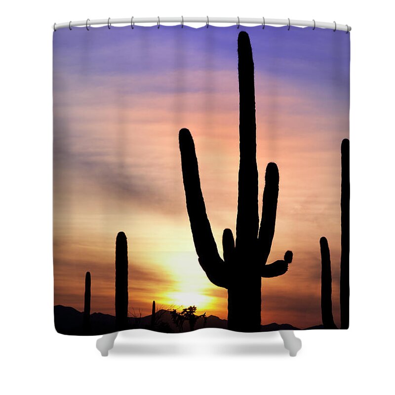 Saguaro Cactus Shower Curtain featuring the photograph Desert Landscape #4 by Kingwu