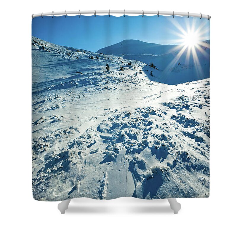 Cool Attitude Shower Curtain featuring the photograph Polar Sunshine #4 by Yourapechkin