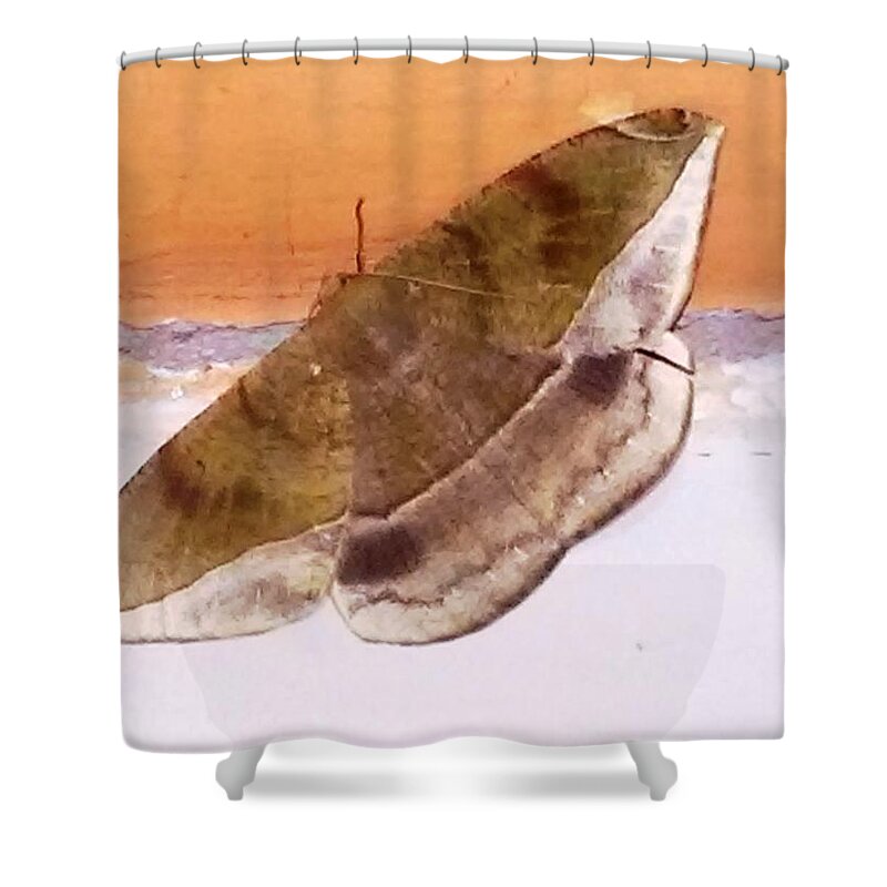  Shower Curtain featuring the photograph Pollination Butterfly #4 by Nestor Cardona Cardona