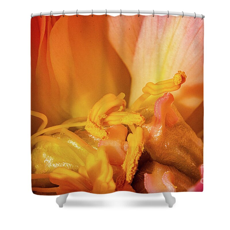 Sublime Peony Shower Curtain featuring the painting Sublime Peony, Dijon, France, April by European School