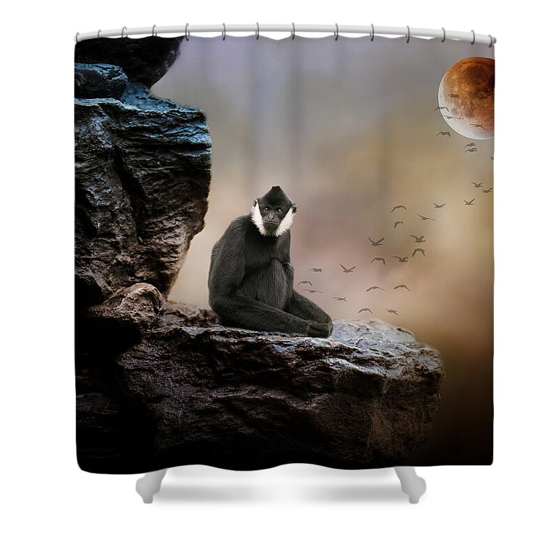 Monkey Shower Curtain featuring the photograph What #4 by Rebecca Cozart