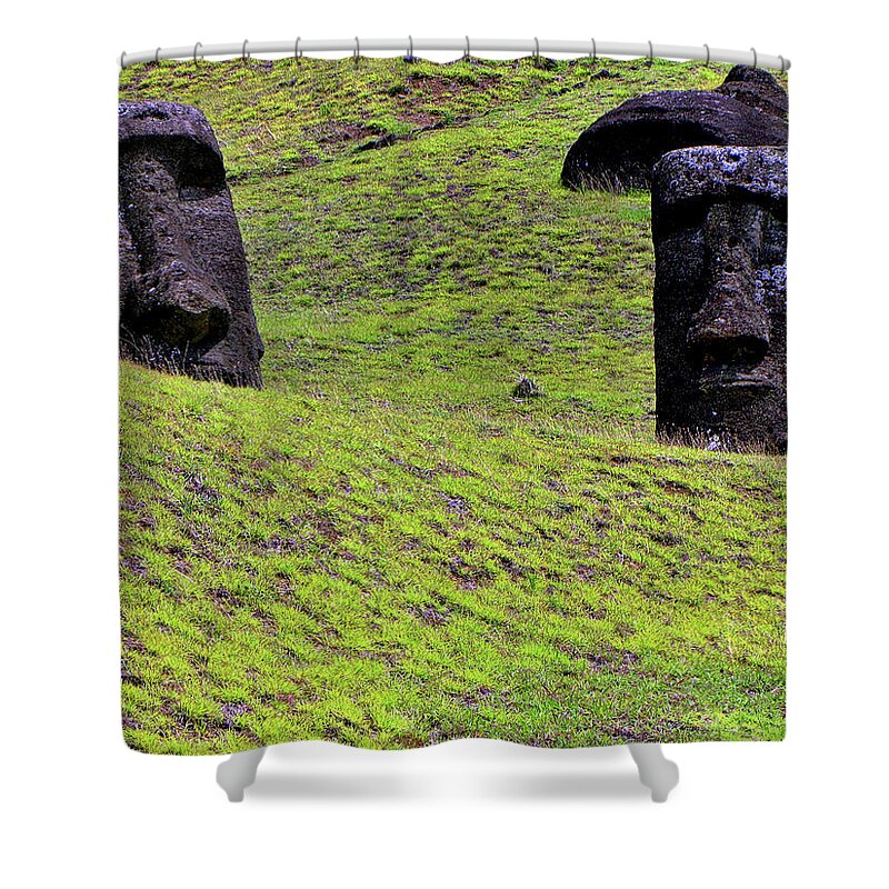 Easter Island Chile Shower Curtain featuring the photograph Easter Island Chile #40 by Paul James Bannerman