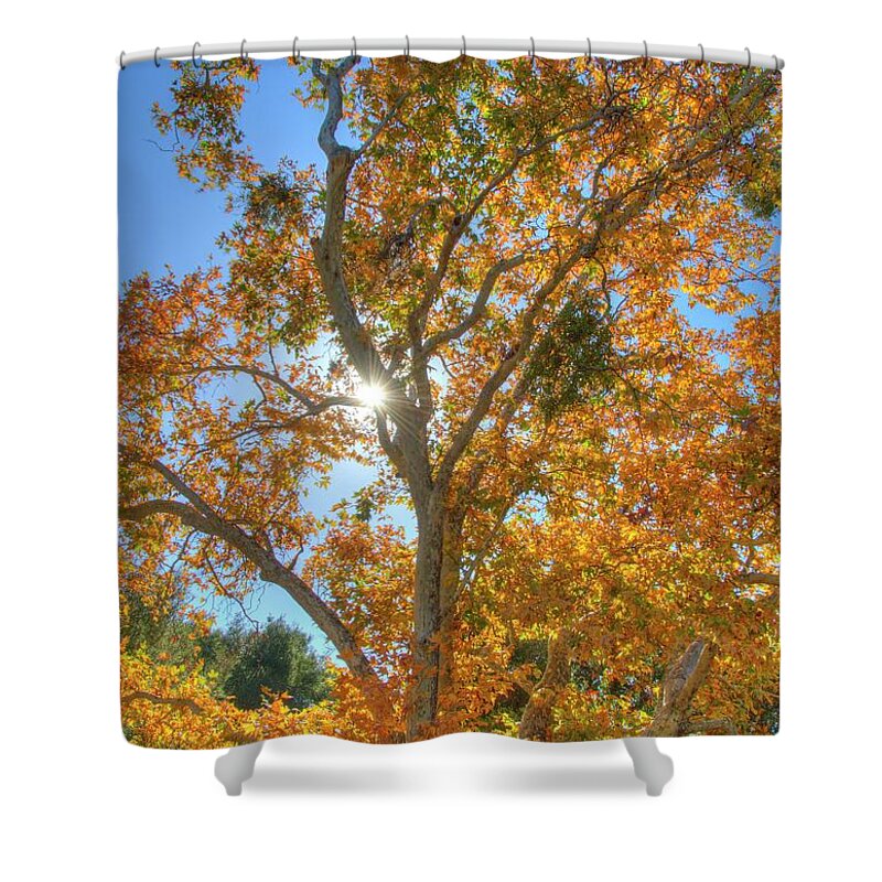 Fall Shower Curtain featuring the photograph Fall #5 by Marc Bittan