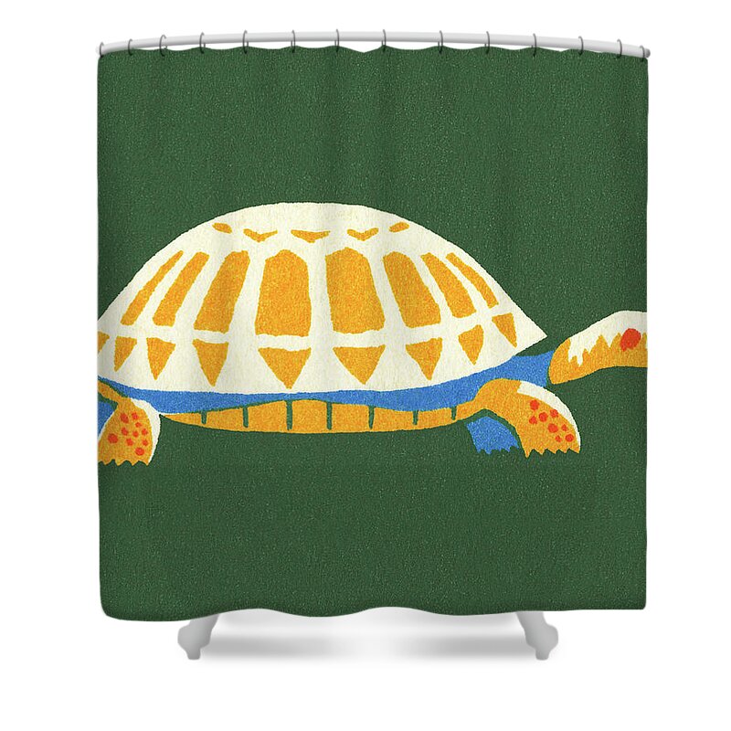 Animal Shower Curtain featuring the drawing Tortoise #7 by CSA Images