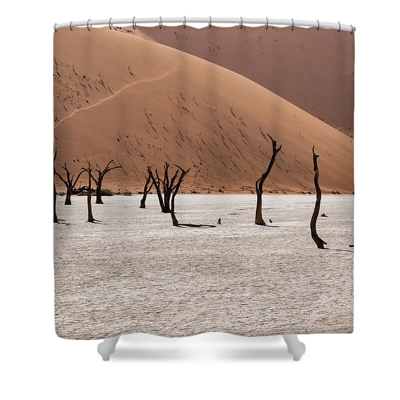 Artistic Shower Curtain featuring the photograph Deadvlei #8 by Mache Del Campo