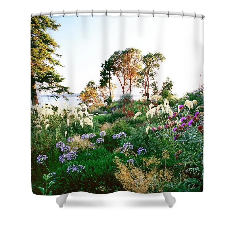 Purple Shower Curtain featuring the photograph Dan Hinkley Garden #9 by Richard Felber