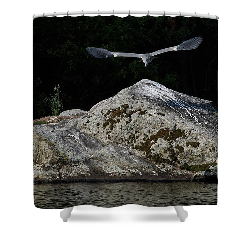Lehtokukka Shower Curtain featuring the photograph Grey heron #9 by Jouko Lehto