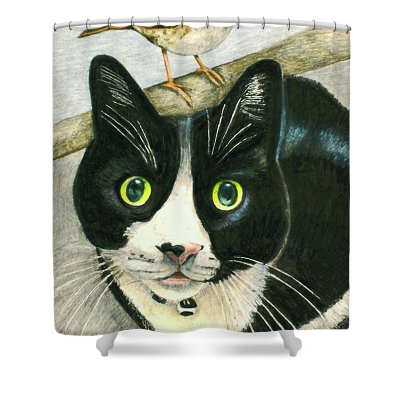 Bird Shower Curtain featuring the drawing A cat named Sparrow by Tim Ernst