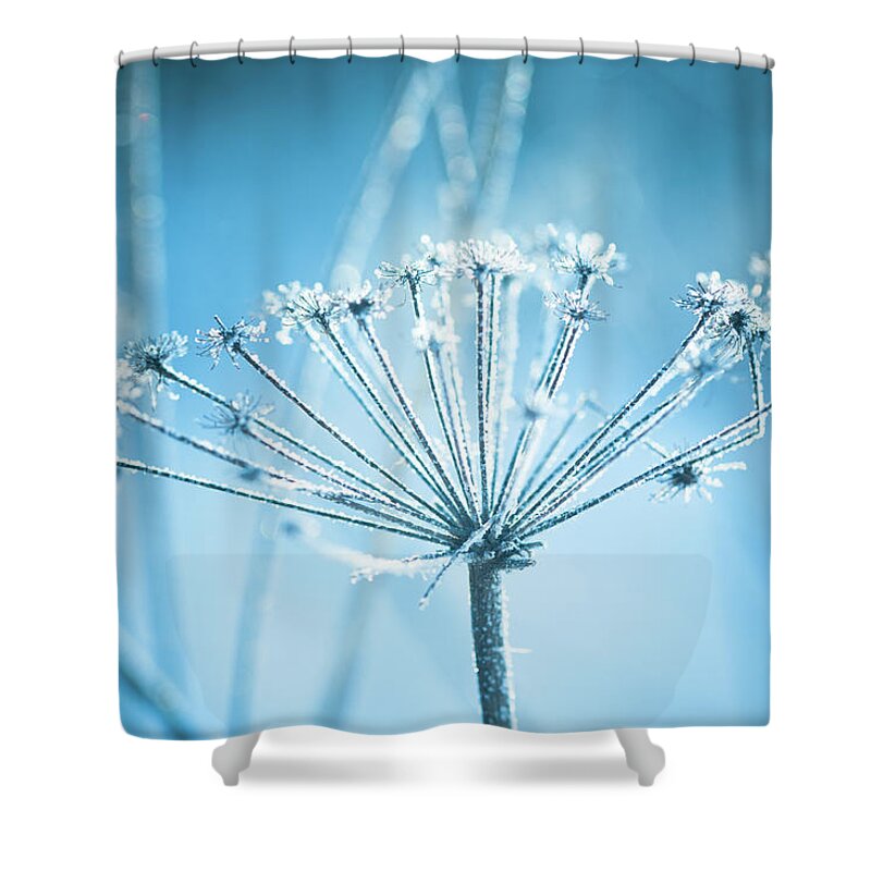 Cool Attitude Shower Curtain featuring the photograph A Close-up Of Hoarfrost On A Plant by 5ugarless