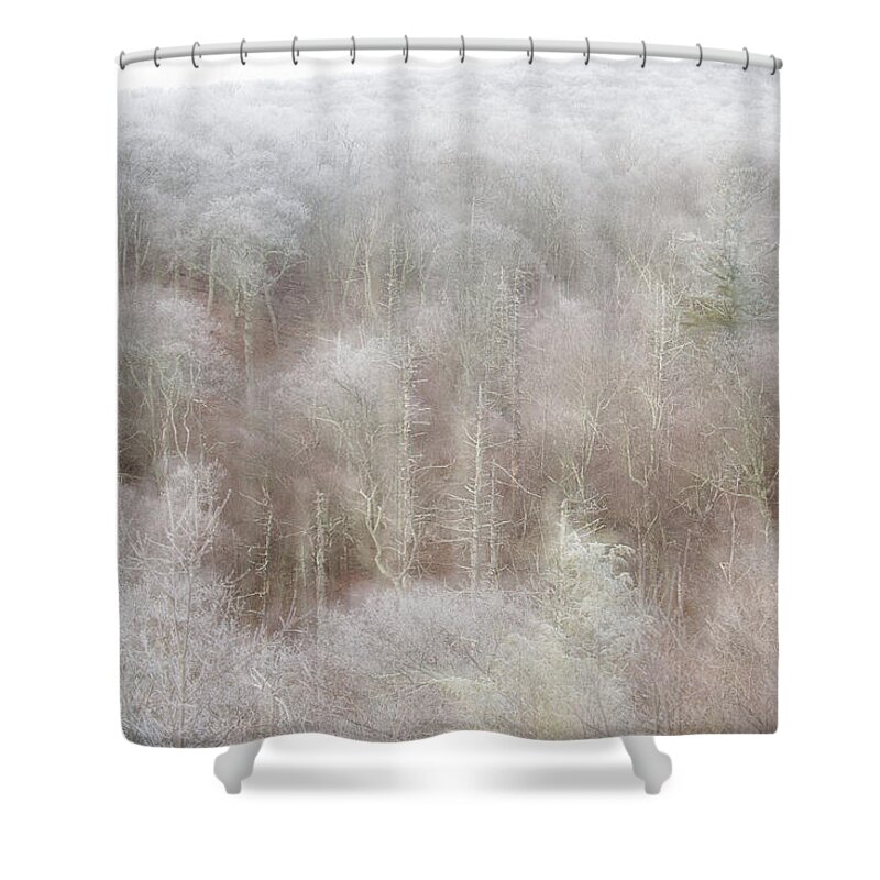 Blue Ridge Shower Curtain featuring the photograph A Ghost of Trees by Mark Duehmig