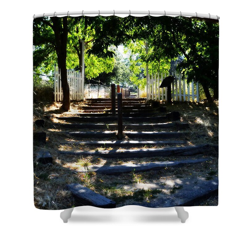 Airway Shower Curtain featuring the photograph A Lifes Stairway by Glenn McCarthy Art and Photography