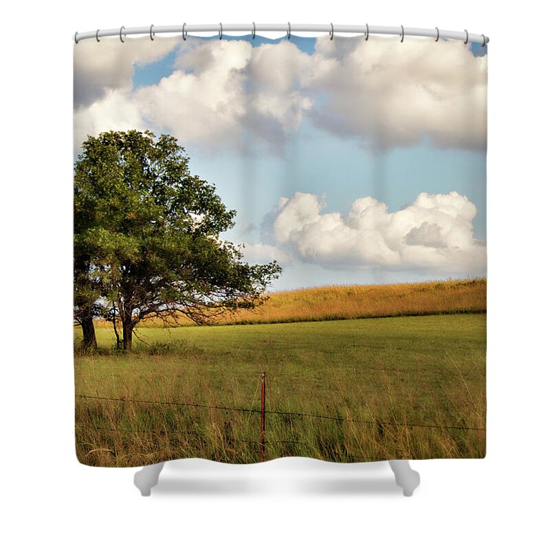 Creek County Shower Curtain featuring the photograph A Little Shade by Lana Trussell