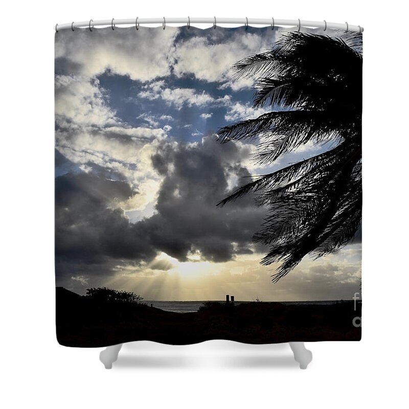 Ocean Shower Curtain featuring the photograph A Palm at Polihale Beach by Debra Banks