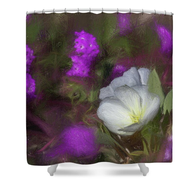 Anza - Borrego Desert State Park Shower Curtain featuring the photograph A Sketchy Primrose by Peter Tellone