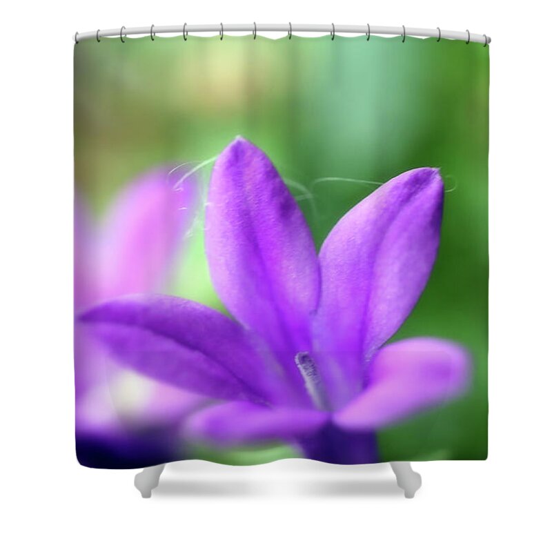 Flower Shower Curtain featuring the photograph A Small Blue Bell Macro Photopgraph by Johanna Hurmerinta