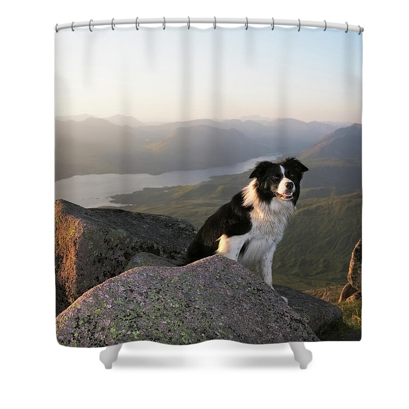 Shadow Shower Curtain featuring the photograph A Summer Evening by Gettyimages