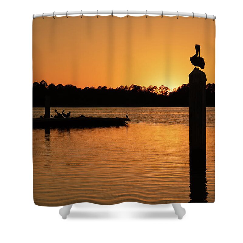 Sunset Shower Curtain featuring the photograph A Sunset For The Birds at Skull Creek Marina by Dennis Schmidt