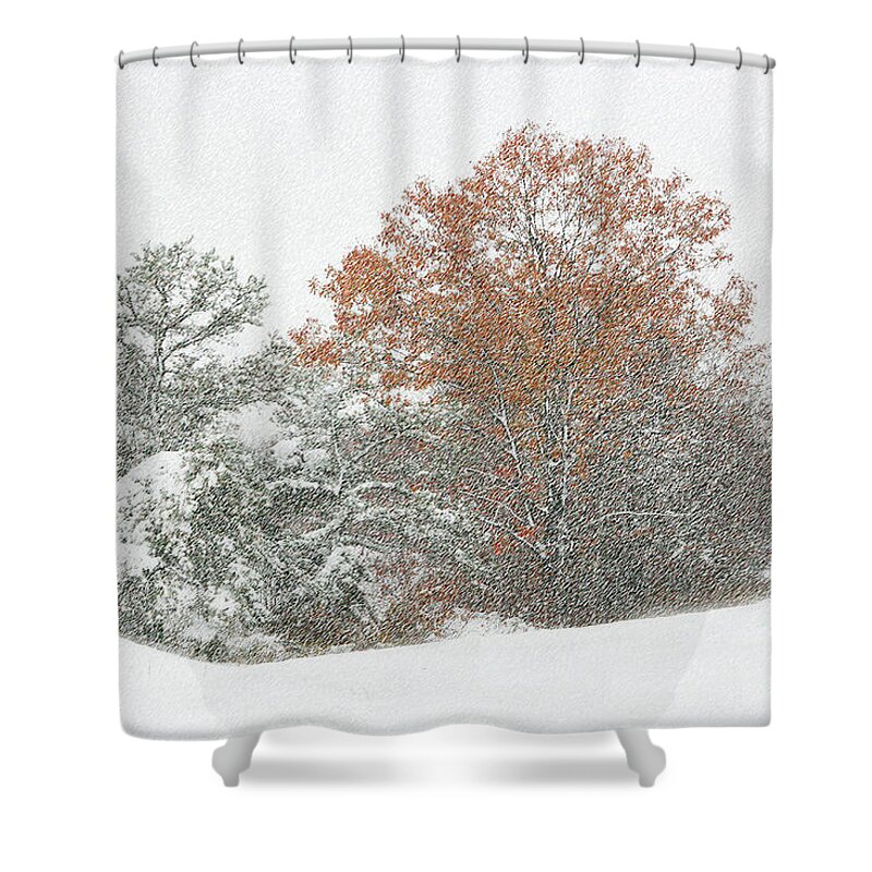 Nature Shower Curtain featuring the photograph A Taste of Winter by Mariarosa Rockefeller