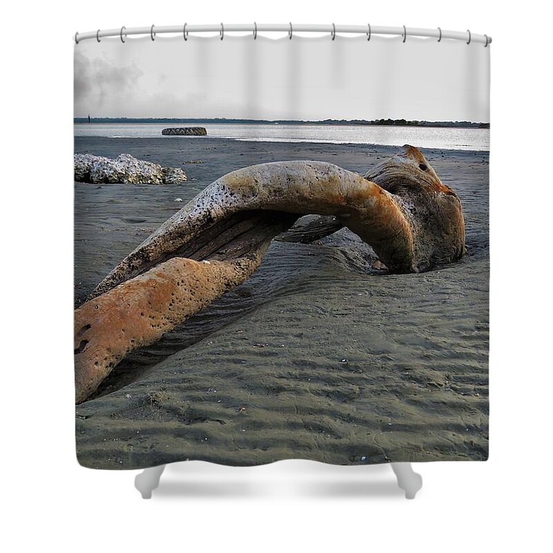 Weipa Shower Curtain featuring the photograph A twisted turning sculpture of drift wood by Joan Stratton