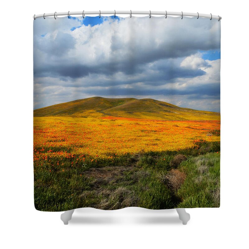 Poppies Shower Curtain featuring the photograph A Valley Of Beauty by Glenn McCarthy Art and Photography