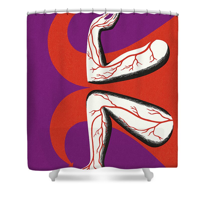 Anatomical Shower Curtain featuring the drawing Abstract Arm and Leg by CSA Images