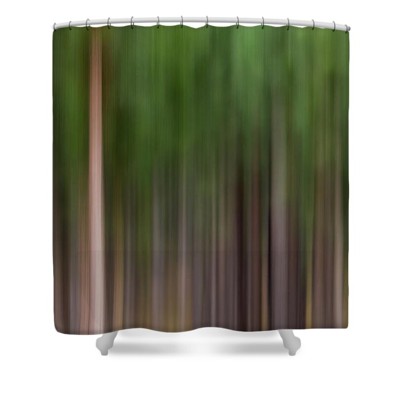 Sebastian Kennerknecht Shower Curtain featuring the photograph Abstract Pine Trees by Sebastian Kennerknecht