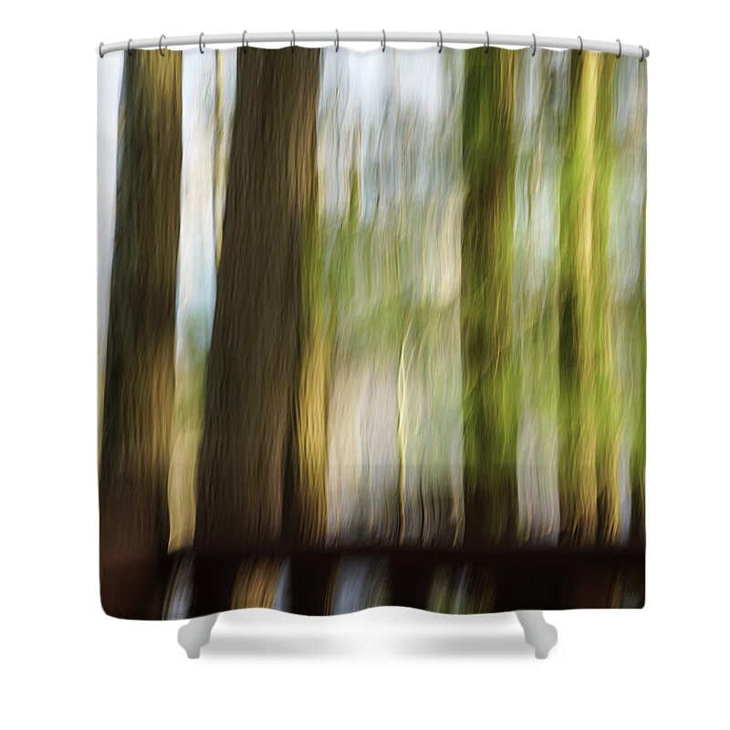 Blurry Trees Shower Curtain featuring the photograph Abstract Trees by Tana Reiff