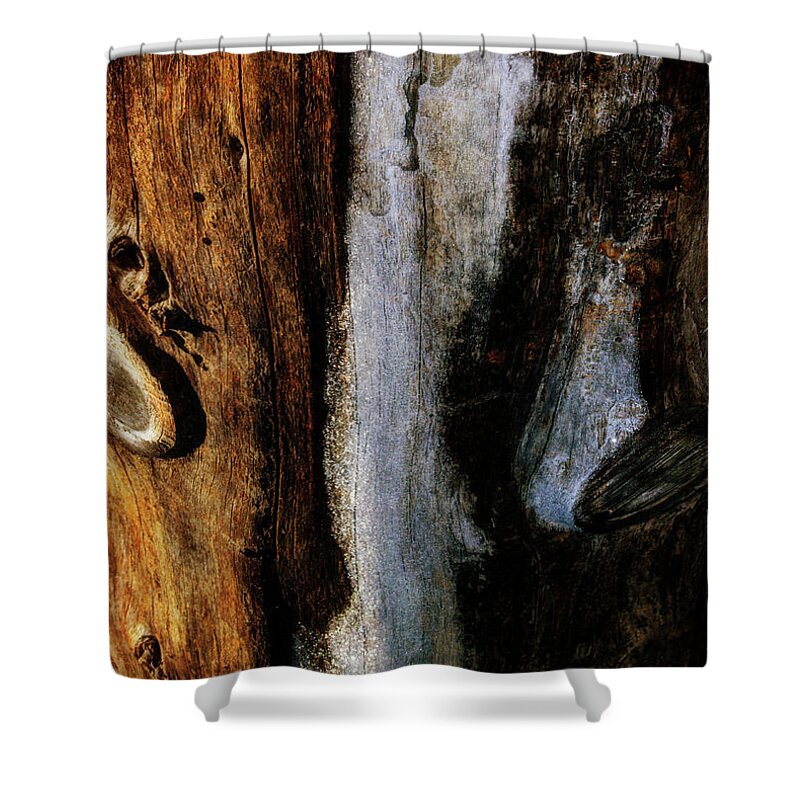 Wood Shower Curtain featuring the photograph Abstract Wooden Post by Tikvah's Hope