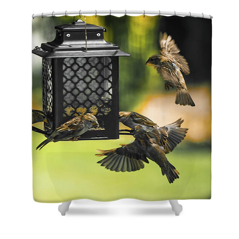 Birds Shower Curtain featuring the digital art Action at The Feeder Cafe by Ed Stines