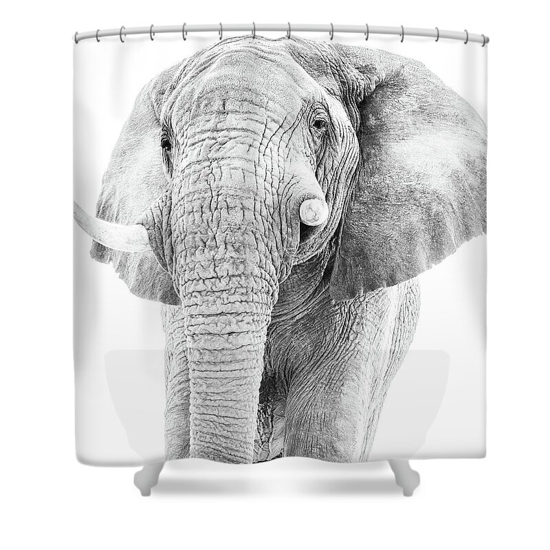 African Elephant Shower Curtain featuring the photograph African Elephant Portait in Monochrome by Mark Hunter
