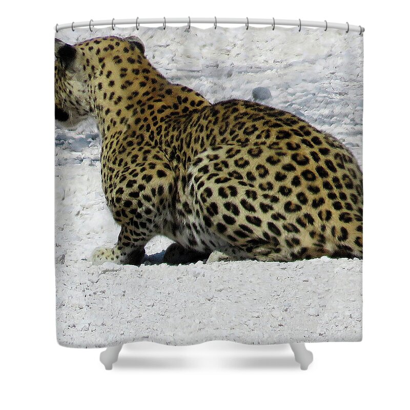 Africa Shower Curtain featuring the photograph African Leopard by Eric Pengelly