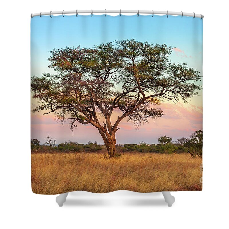 Serengeti Shower Curtain featuring the photograph African Savannah wallpaper by Benny Marty