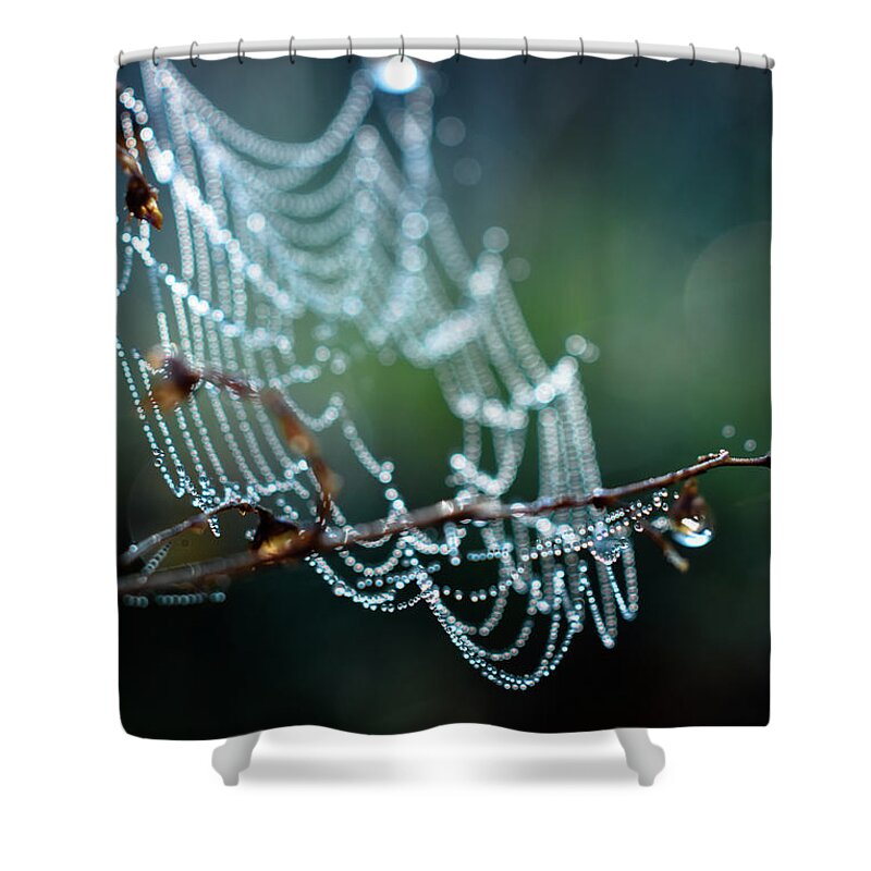 Cobweb Photo Shower Curtain featuring the photograph After by Michelle Wermuth