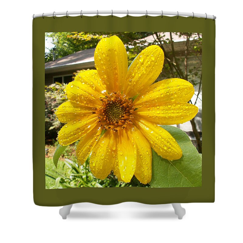 Flowers Shower Curtain featuring the photograph After the Rain by Karen Stansberry