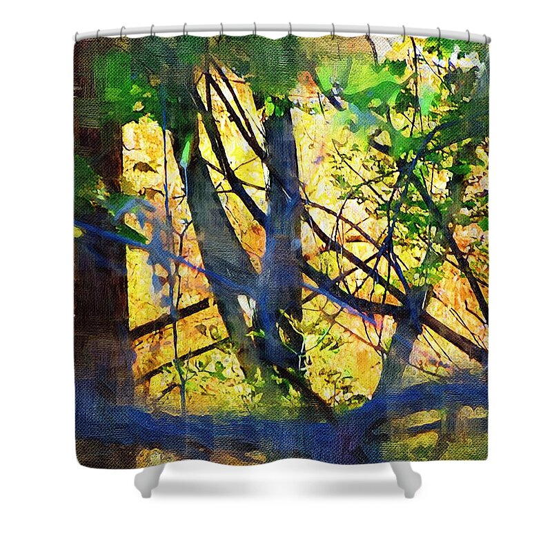 Trees Shower Curtain featuring the mixed media Afternoon in the Woods by Christopher Reed