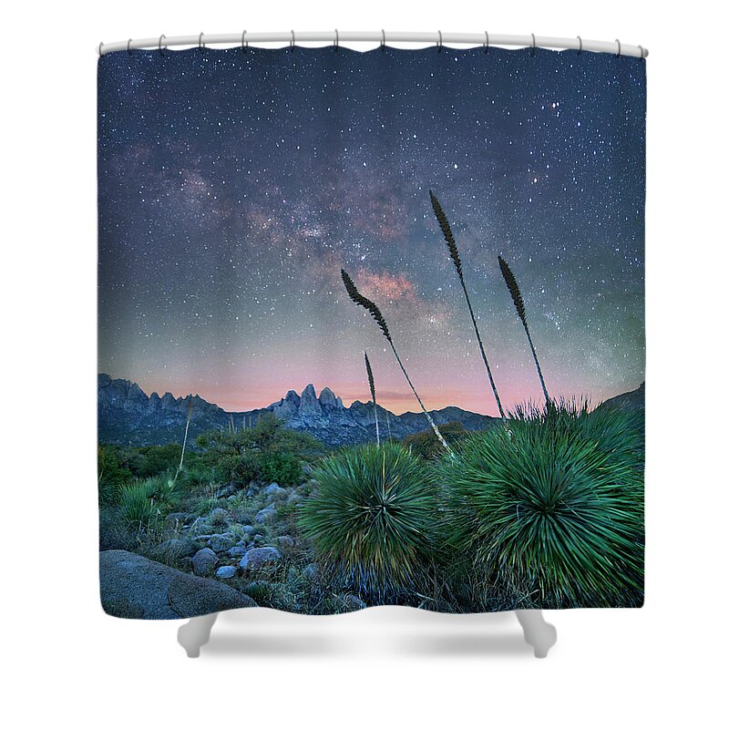 00559667 Shower Curtain featuring the photograph Agave At Night, Organ Mountains-desert Peaks Nm, New Mexico by Tim Fitzharris