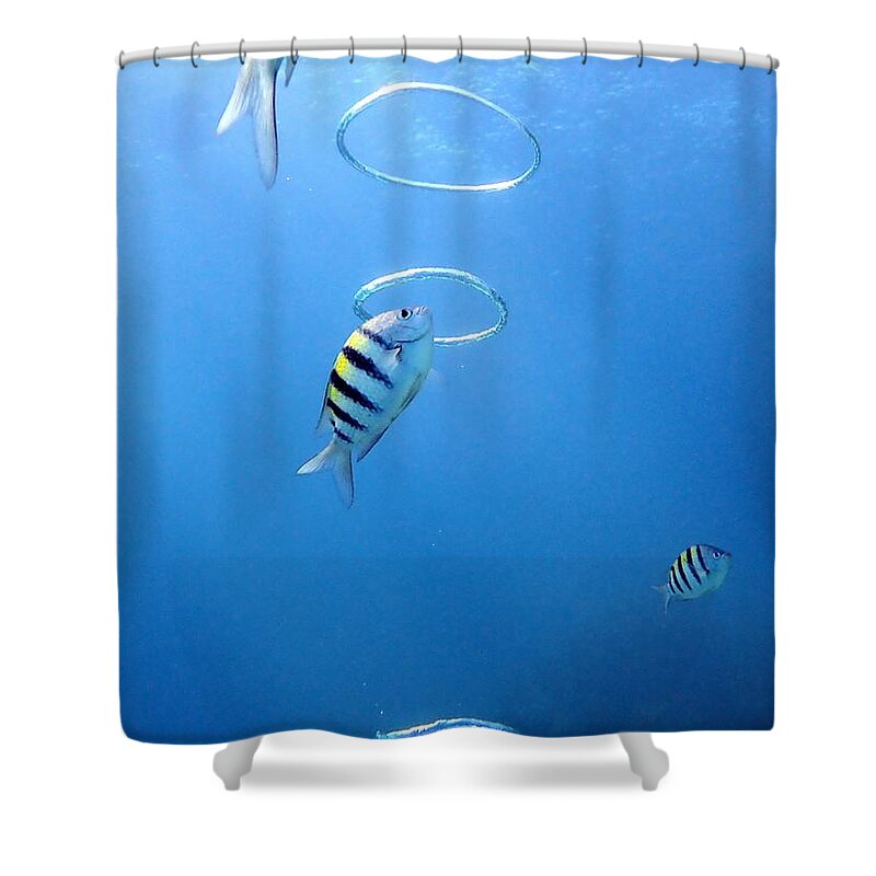 Air Rings Shower Curtain featuring the photograph Air Rings by Farol Tomson
