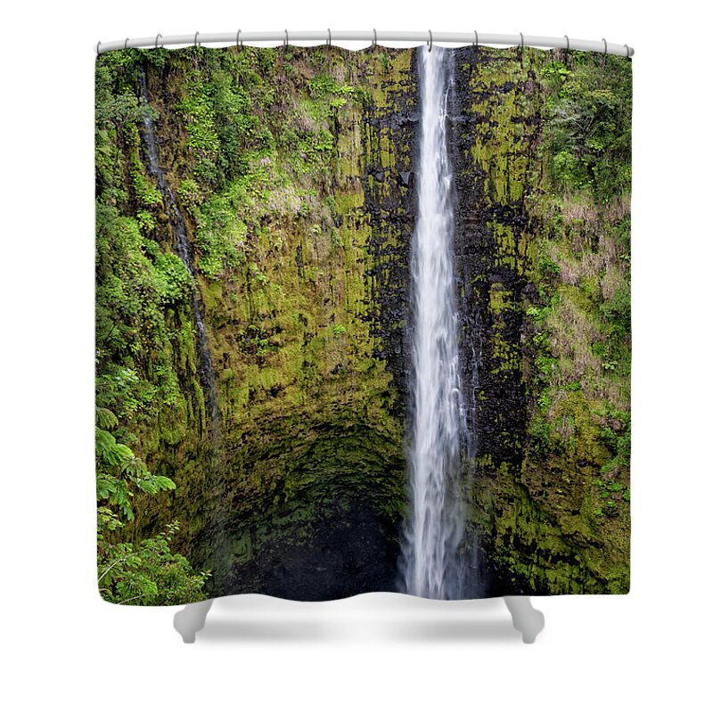 Akaka Falls State Park Shower Curtain featuring the photograph Akaka Falls by Al Andersen