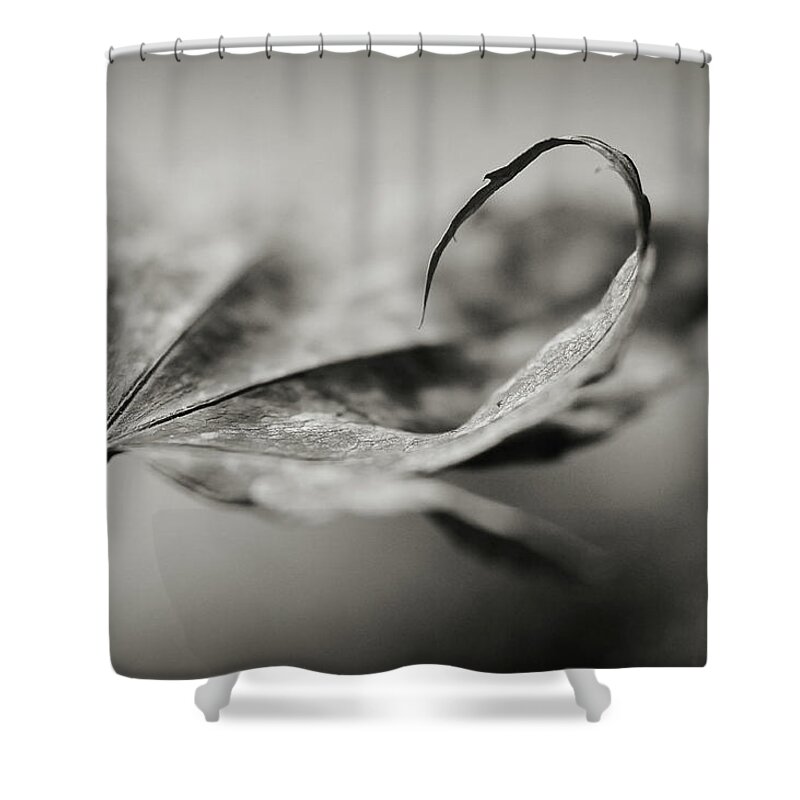 Black And White Shower Curtain featuring the photograph All In by Michelle Wermuth