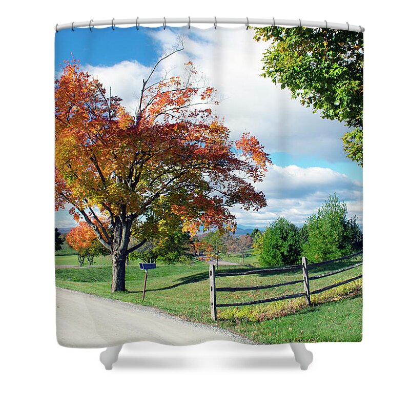Foliage Shower Curtain featuring the photograph All Souls by Rik Carlson
