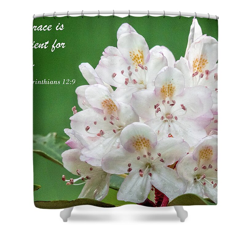 Mountain Laurel Shower Curtain featuring the photograph All Sufficient Grace by Marcy Wielfaert