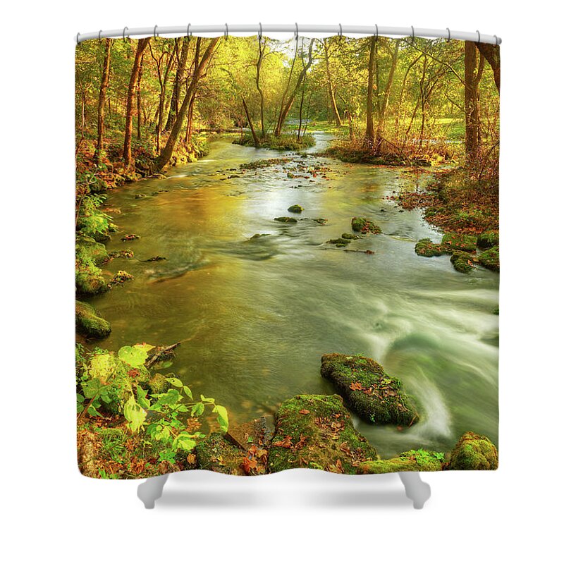 Ozarks Shower Curtain featuring the photograph Alley Spring Branch by Robert Charity